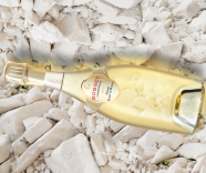 Taste Champagne comes to London